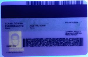 Bogusbraxtor fake id card
