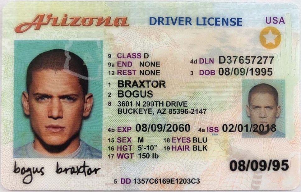 Best fake id websites 2022 updated underground review