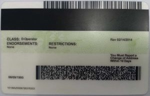 Bogusbraxtor scannable fake ID